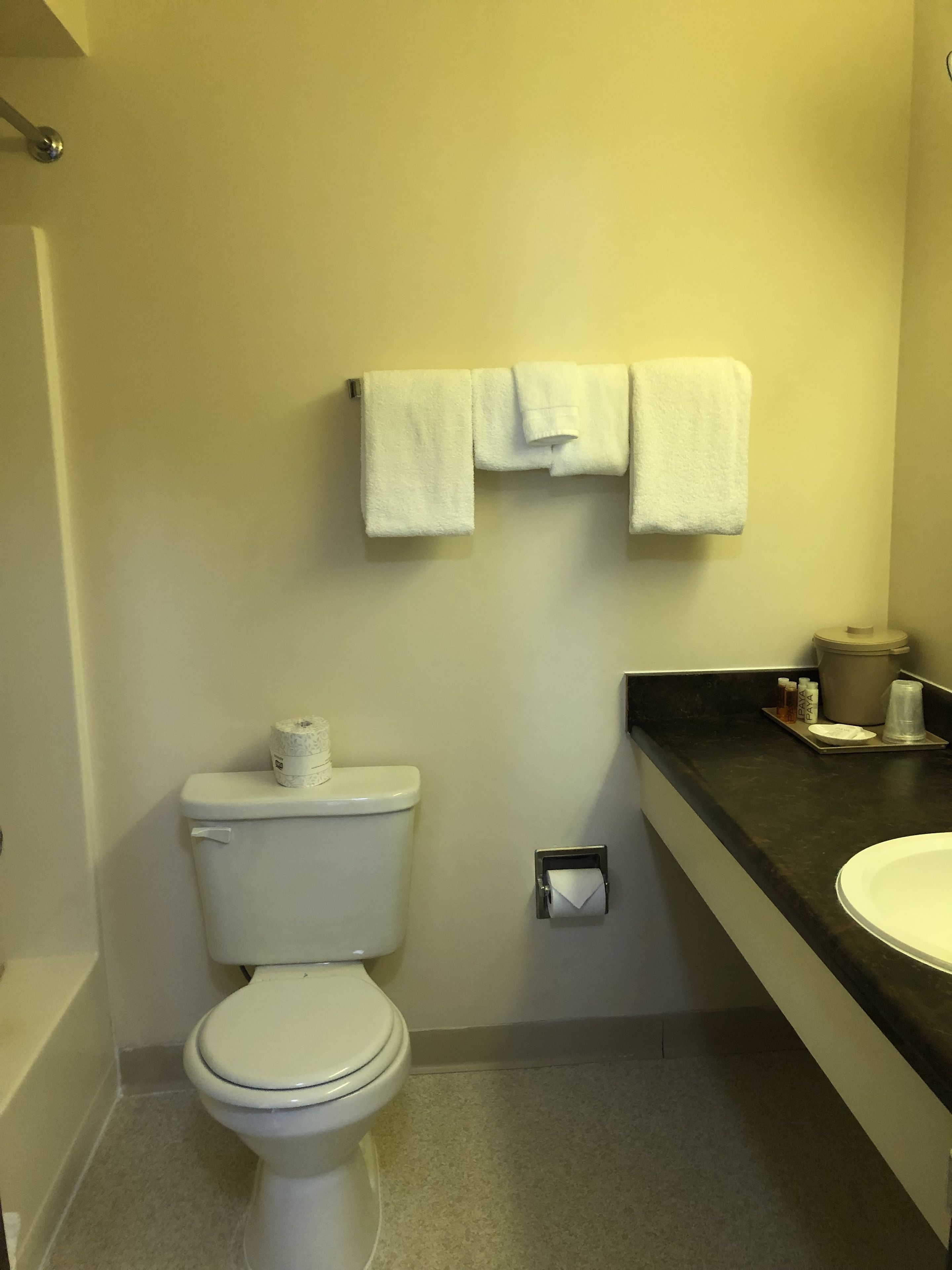 combined shower/bathtub, free toiletries, towels