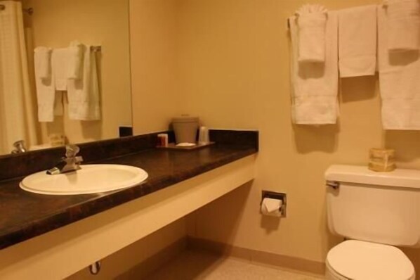 A bathroom with a white sink, a mirror, a toilet, and towels hanging on the wall. - Glacier Hotel (Valdez)