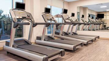 A row of treadmills in a gym with large windows and a view of the outdoors.