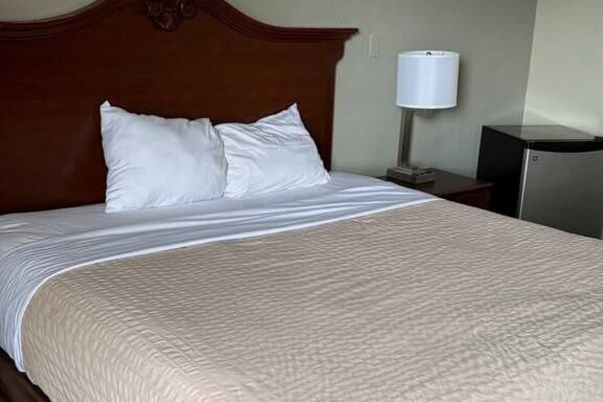 Wifi gratis y ropa de cama