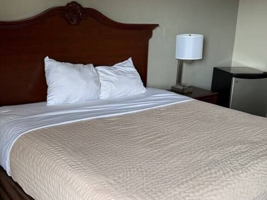 Wifi gratis y ropa de cama