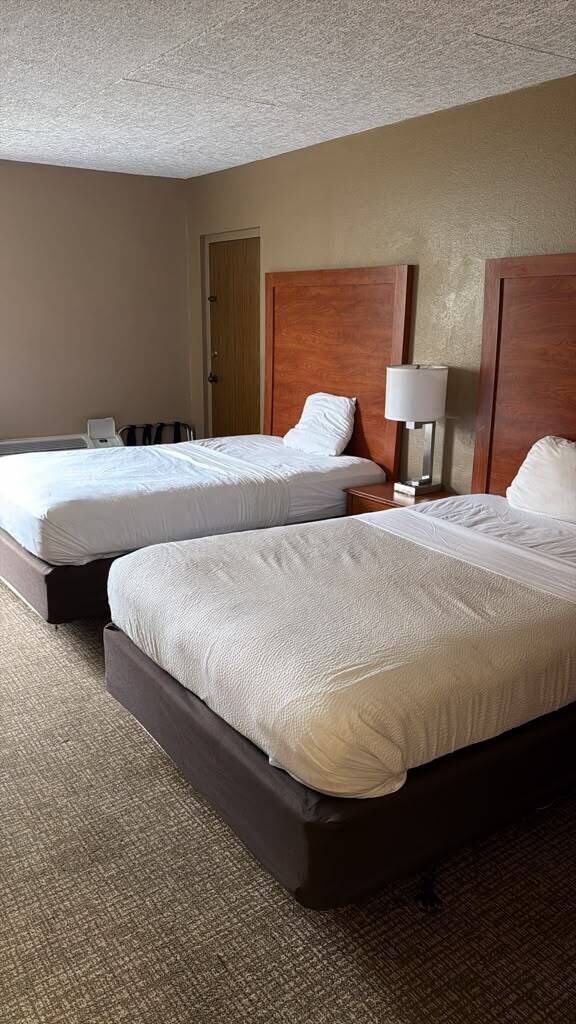Habitación de hotel con dos camas, cabecera de madera, mesita de noche con lámpara y suelo alfombrado.