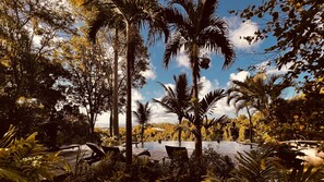 Property grounds - Ocean Views & Private Pool- West Coast Barbados (Holetown)