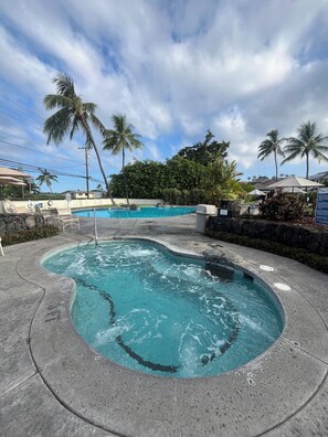 Una piscina de borde curvo, rodeada de palmeras y un muro de piedra.
