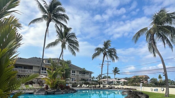 A pool with rock formations, palm trees, and a clear sky.