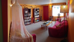 TV, fireplace, video games, DVD player
