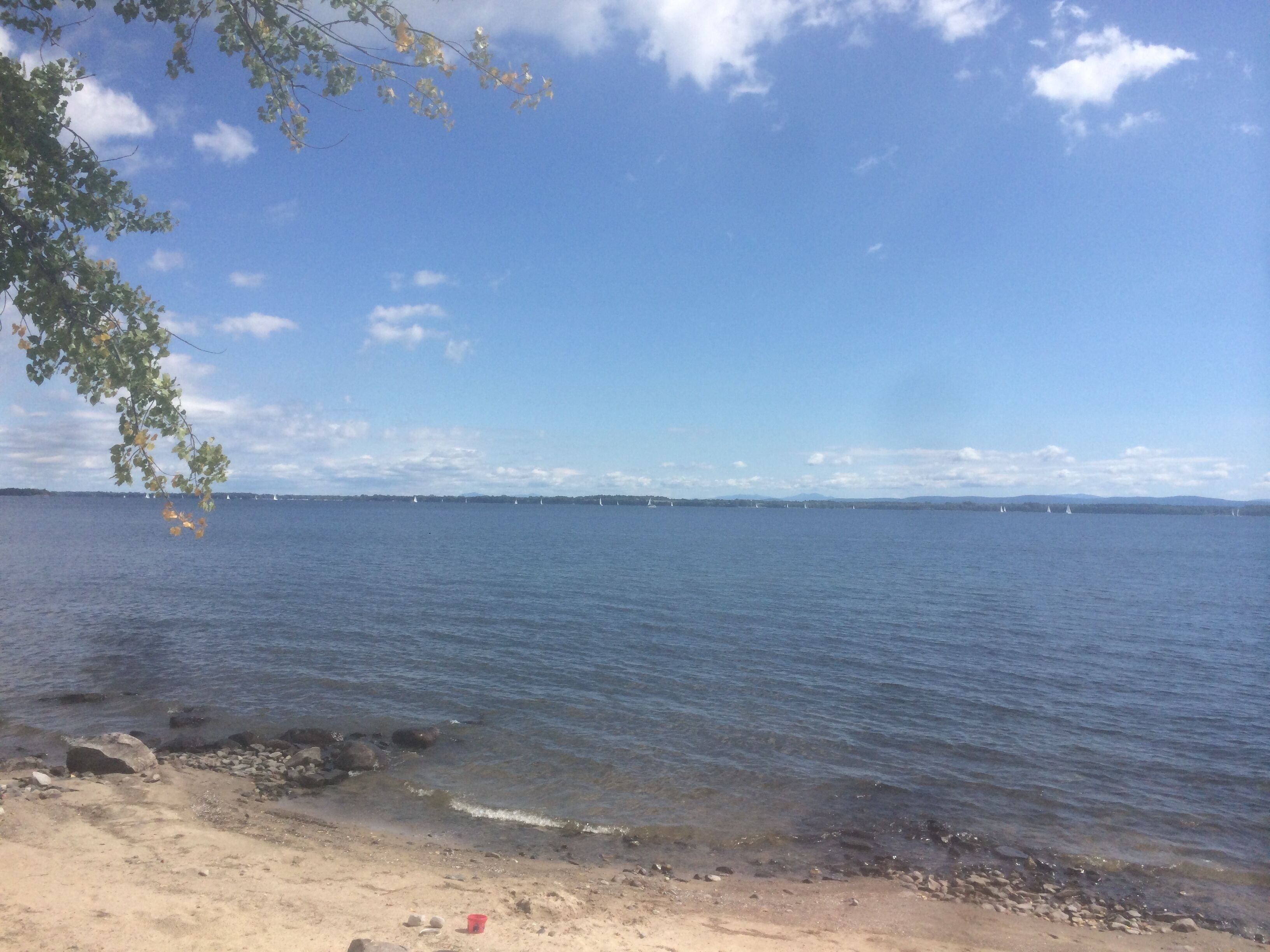 A beach with clear water, a sandy shore, and distant sailboats.