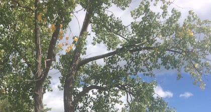 Bord de lac, plage privée, quai, kayaks, pédalo et animaux acceptés!