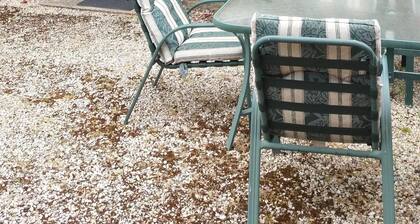 Rose gite Le Cosquer St Connec