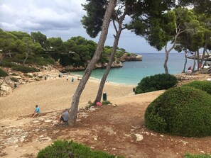 A beach with trees, a rocky shoreline, and a clear view of the sea. - Beautiful Old Farmhouse With English Country Gardens & Pool. 6 bedrooms 6 baths. (Santanyí)