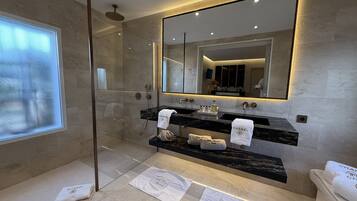 Combined shower/tub, hair dryer, bathrobes, bidet