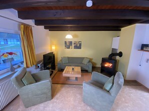 智能電視、壁爐、電子遊戲、DVD 播放機