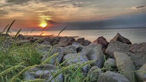 Un coucher de soleil sur une côte rocheuse, avec de l’herbe au premier plan.
