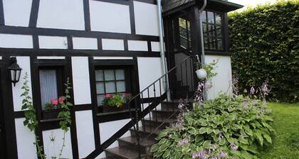 Romantic cottage is looking for you! -Wi-Fi, fireplace, infrared cabin