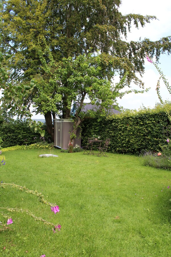 A garden with a large tree, a shed, and a hedge. - Romantic cottage is looking for you! -Wi-Fi, fireplace, infrared cabin (Hellenthal)