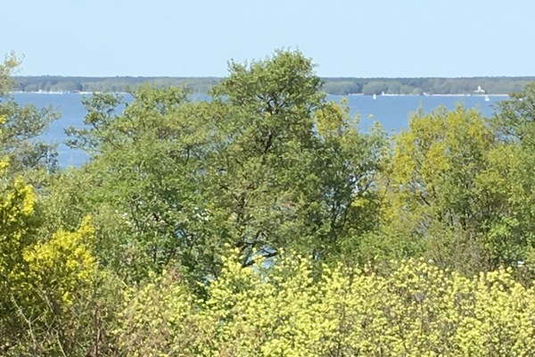 Steinhude mit Meerblick, Pool und Sauna