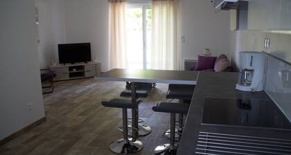 Charmante Wohnung T3 (2 Schlafzimmer) Patio und Terrasse