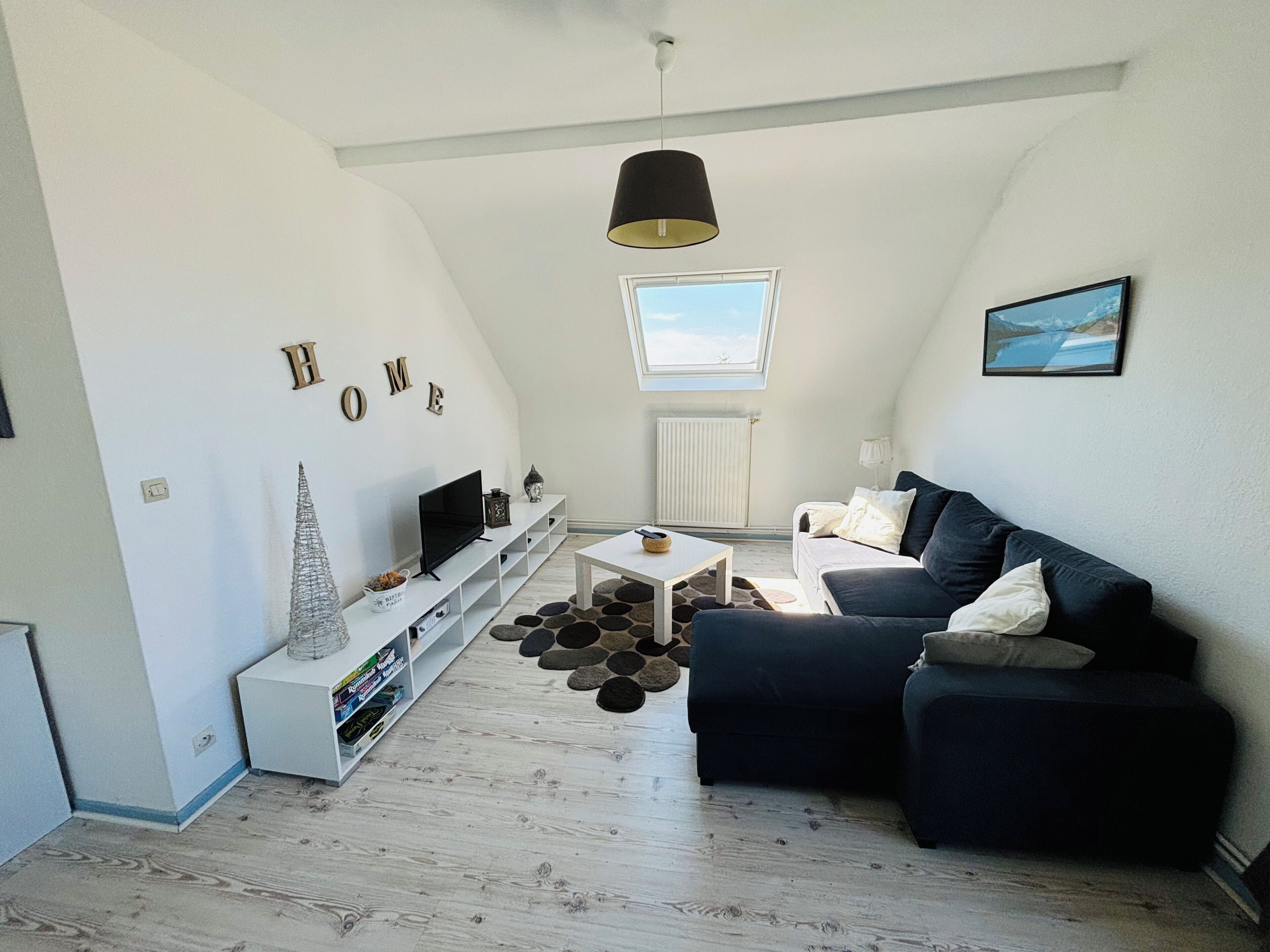 電視、壁爐、DVD 播放機