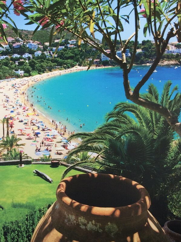 Playa en los alrededores 