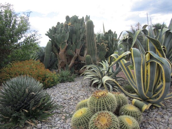 Áreas de la propiedad