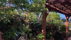 Ein Garten mit einer Holz-Pergola, verschiedenen Pflanzen und einer Steinmauer.