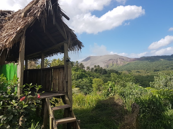 Vista desde la propiedad