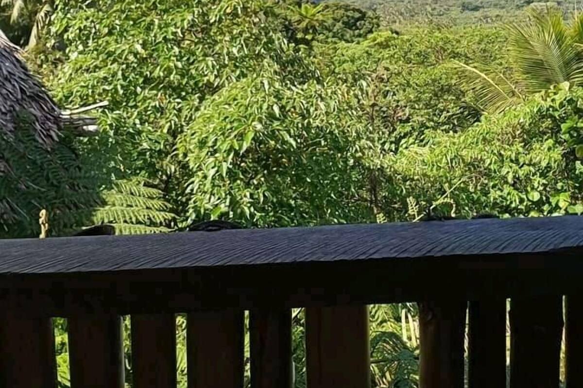 Doppelzimmer (with Panoramic View) | WLAN