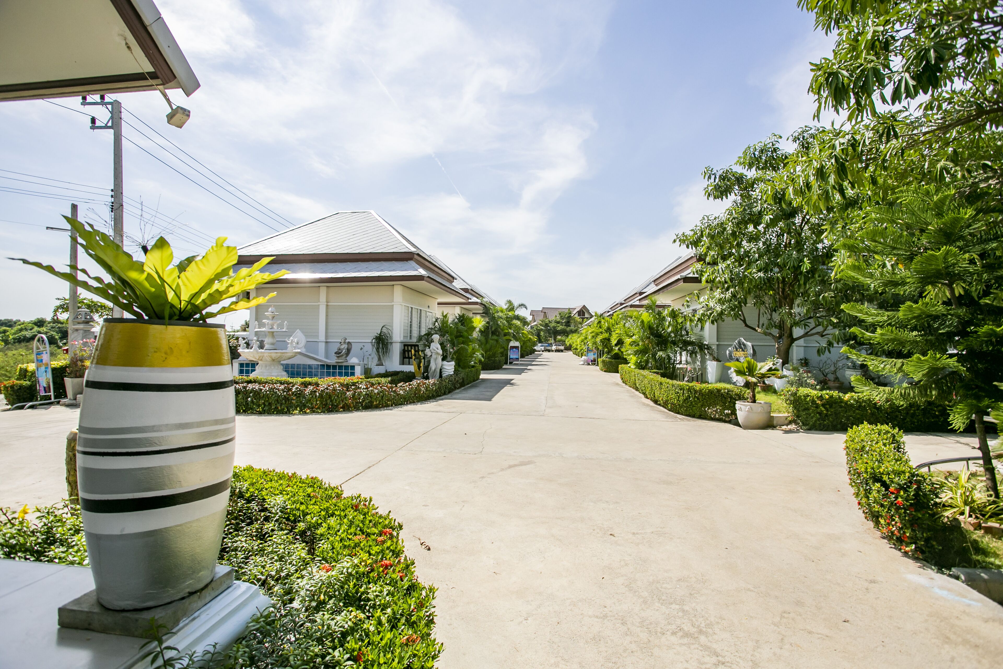 A residential street with houses, a concrete pathway, and well-maintained gardens.