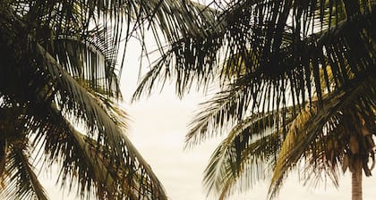 Vilanculos Beach Lodge