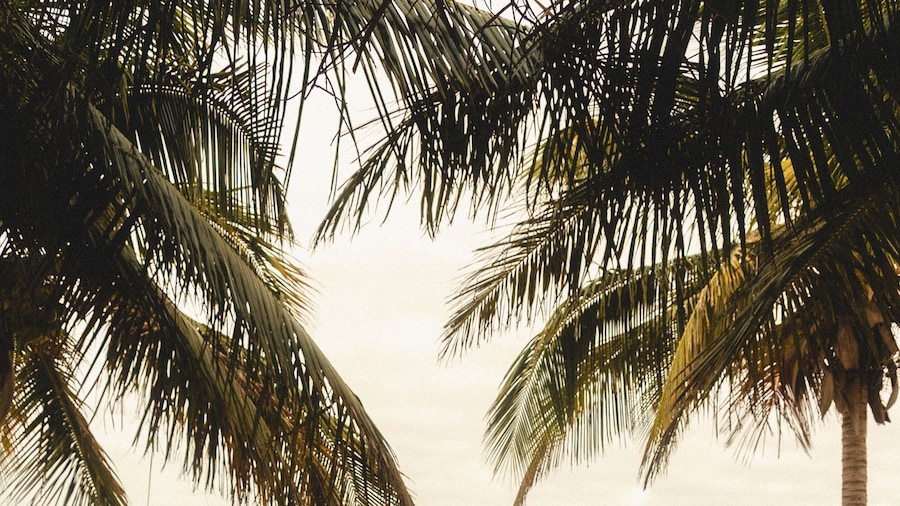 Vilanculos Beach Lodge