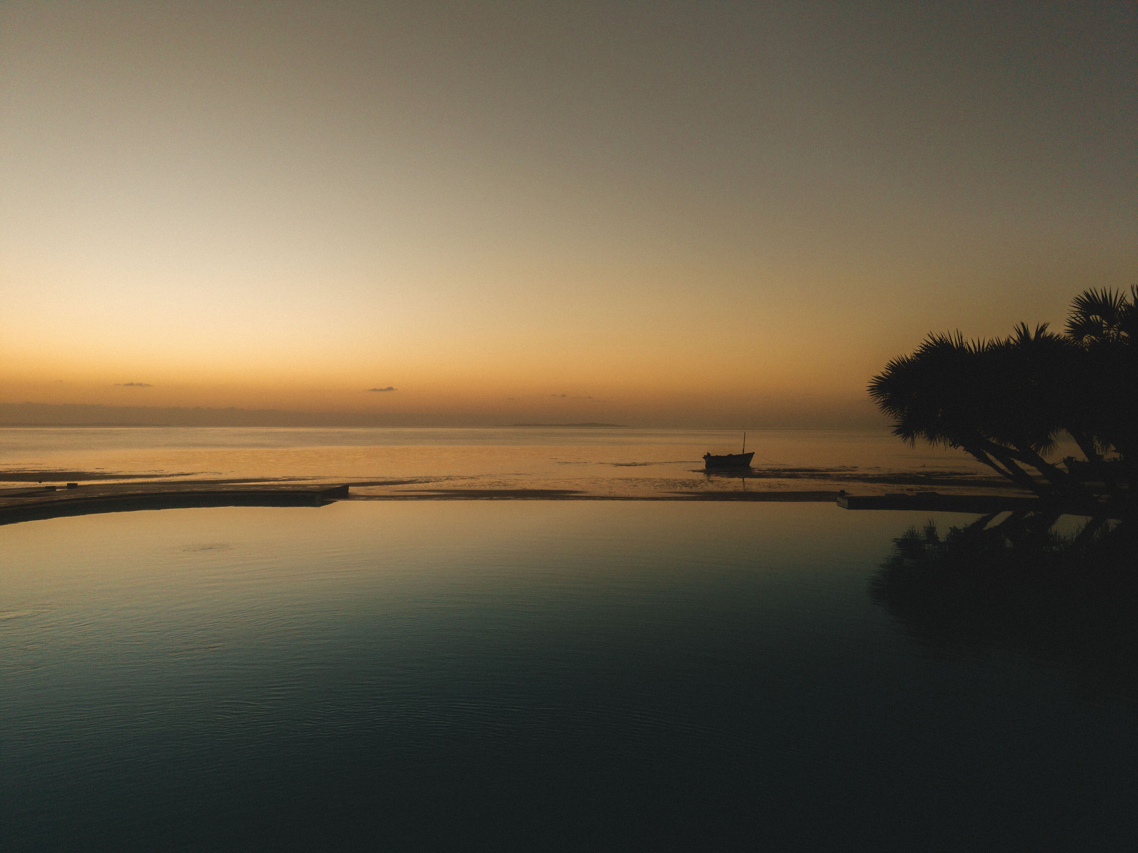 A serene body of water with a boat and palm trees, suggesting a tranquil setting.