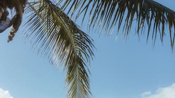 Sulla spiaggia, kayak, nautica/canottaggio