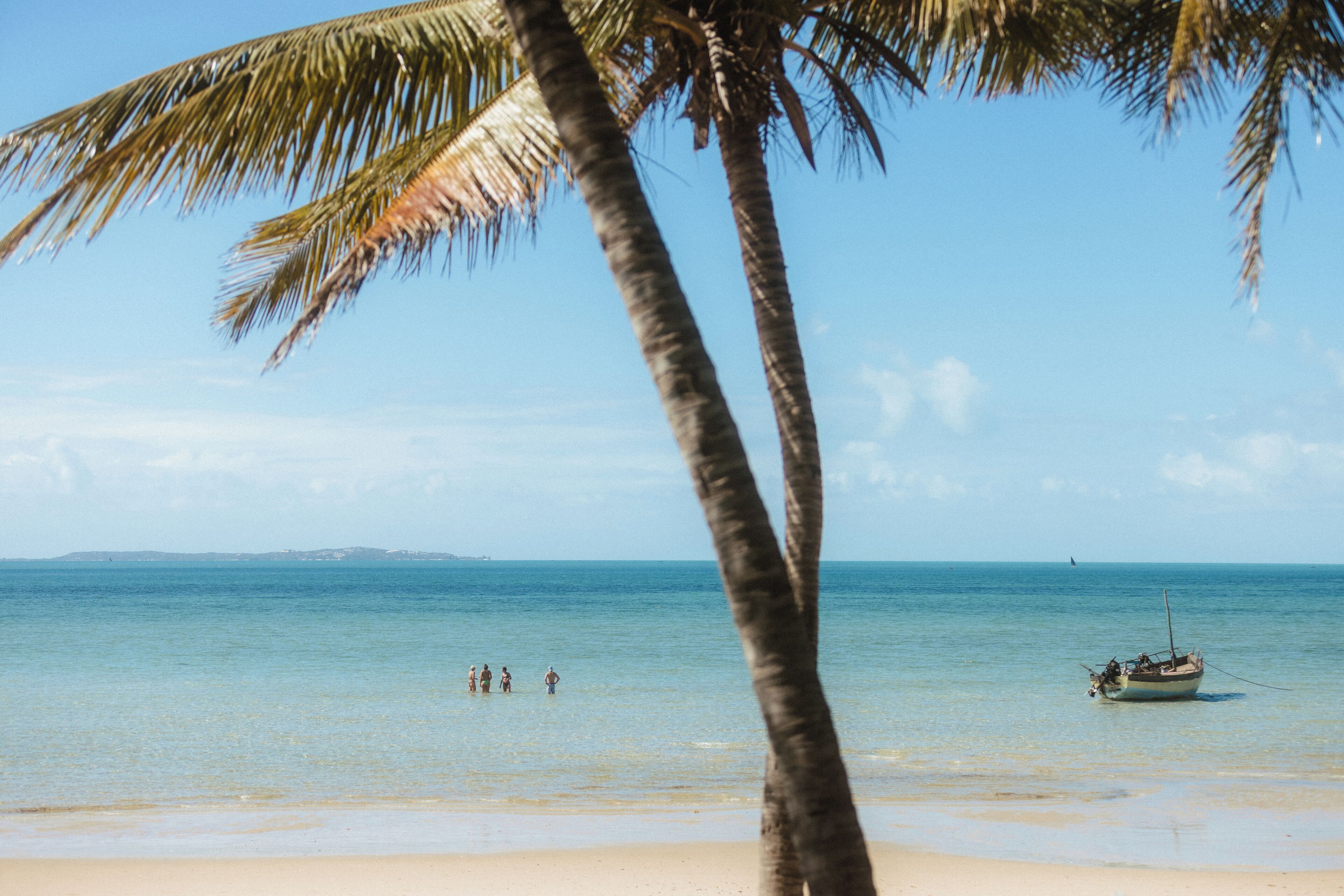 Una playa con agua cristalina, palmeras y un bote.