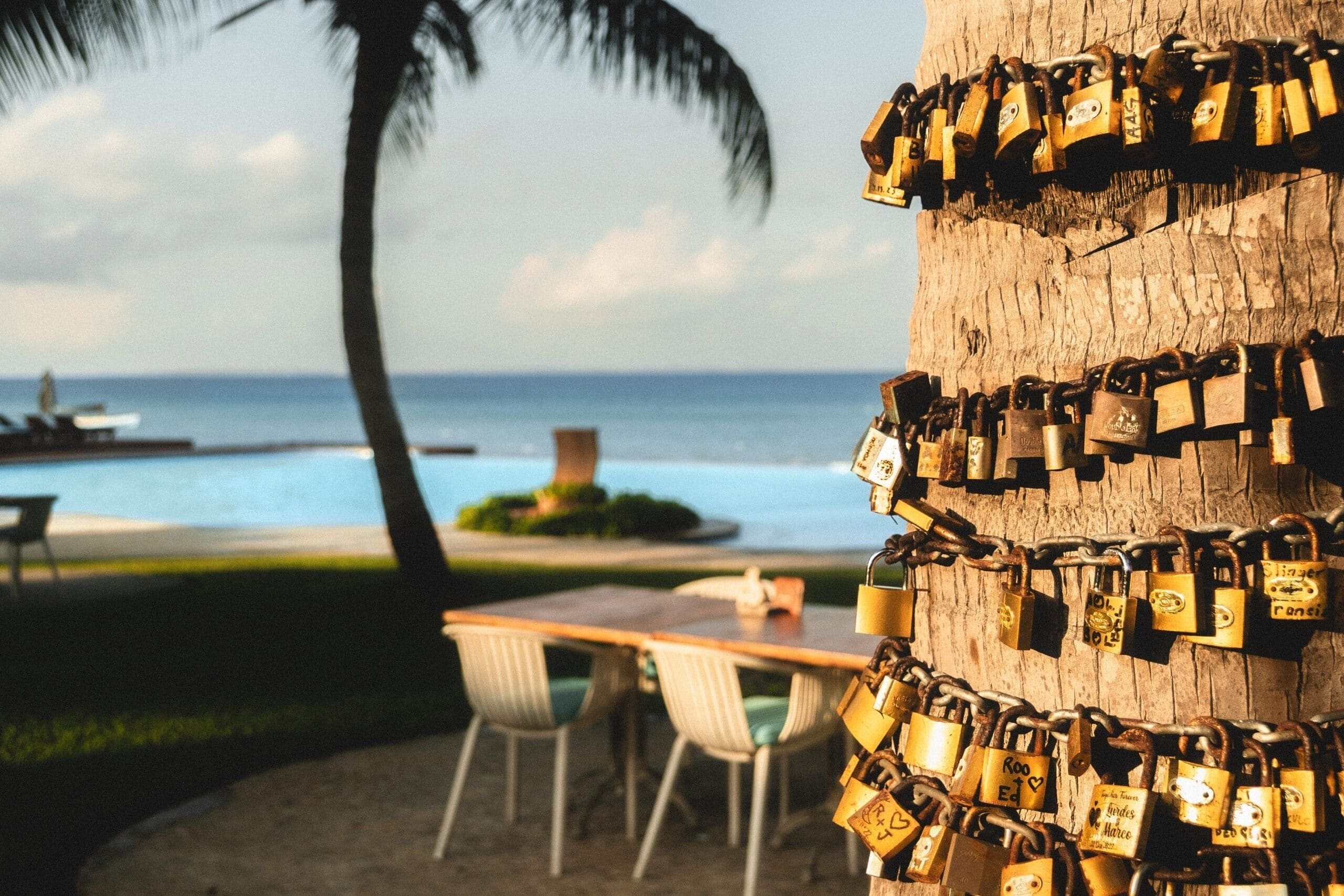 A tree with numerous padlocks attached to its trunk, overlooking a beach with a table and chairs, and a view of the ocean.