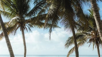 Aan het strand, kajakken, roeien
