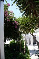 Jardín
