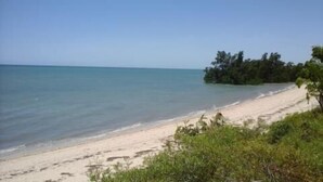 A beach with clear water, sandy shore, and dense greenery. - Caliente Beach Lodge (Toliara)