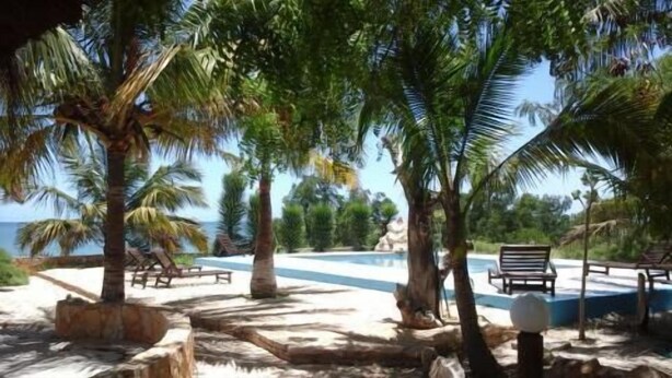 A pool area with palm trees, lounge chairs, and a view of the ocean. - Caliente Beach Lodge (Toliara)
