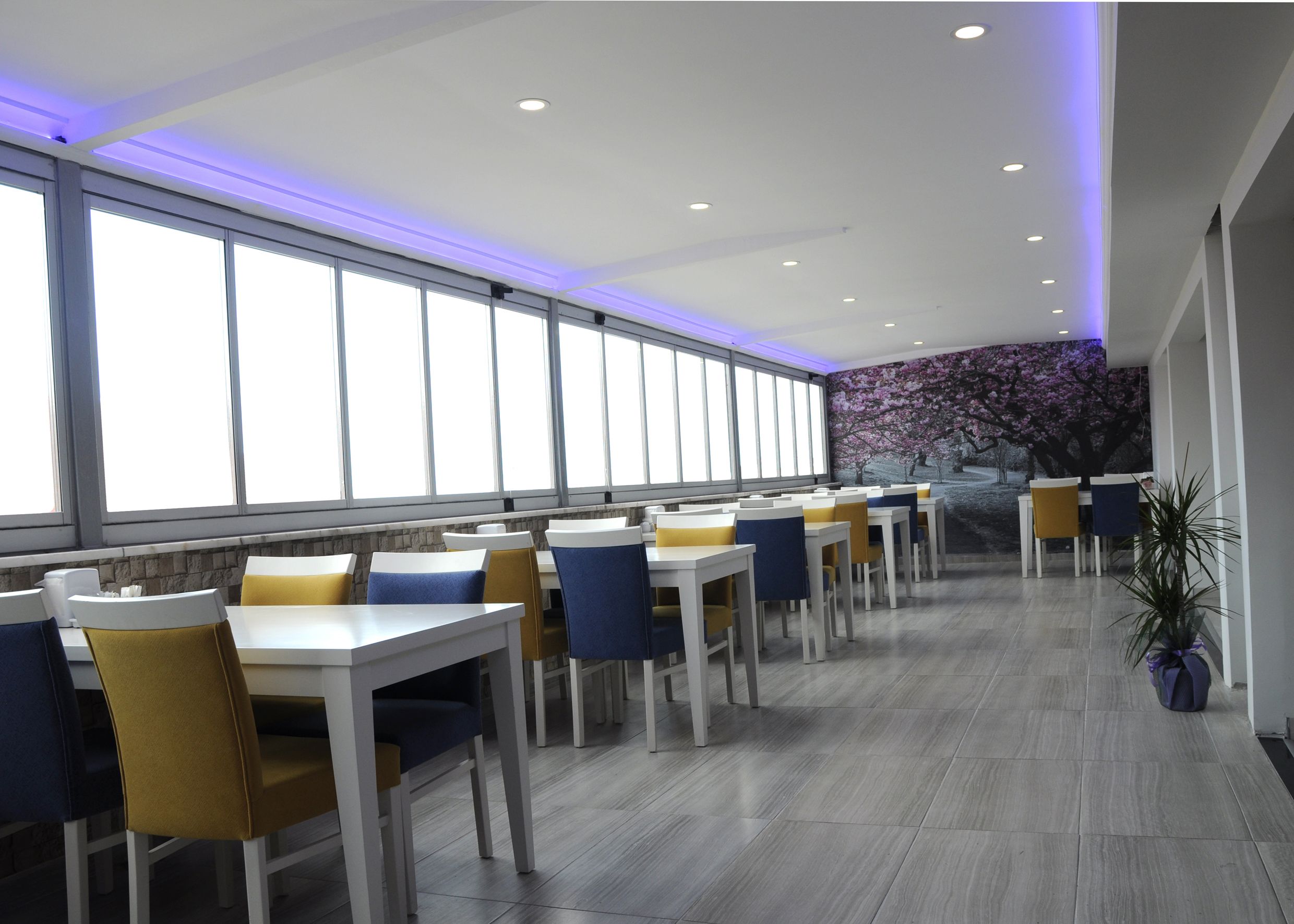 Lunch and dinner served, Turkish cuisine