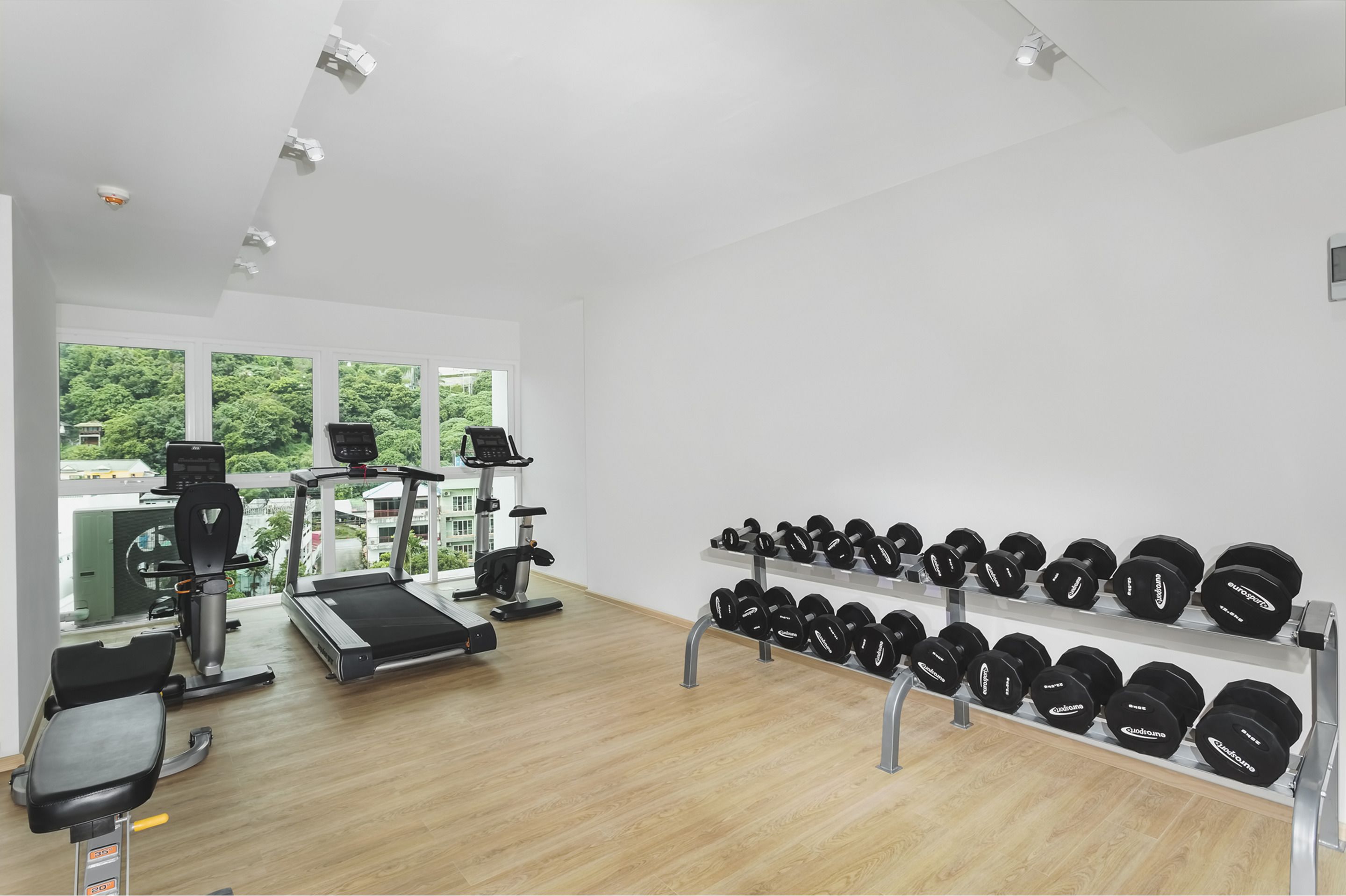 Une salle de sport équipée de machines de cardio, d’haltères et d’un tapis de course.