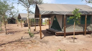 A series of tents with a sandy ground, surrounded by trees. - Makumutu Lodge & Campsite (Orapa)