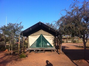 A single-room tent with a green interior, surrounded by a wooden structure, set in a rural area with trees and a dirt path. - Makumutu Lodge & Campsite (Orapa)