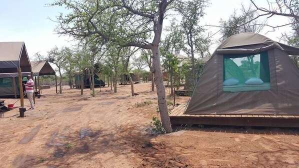 A campsite with multiple tents, some with windows, and a few wooden structures. - Makumutu Lodge & Campsite (Orapa)