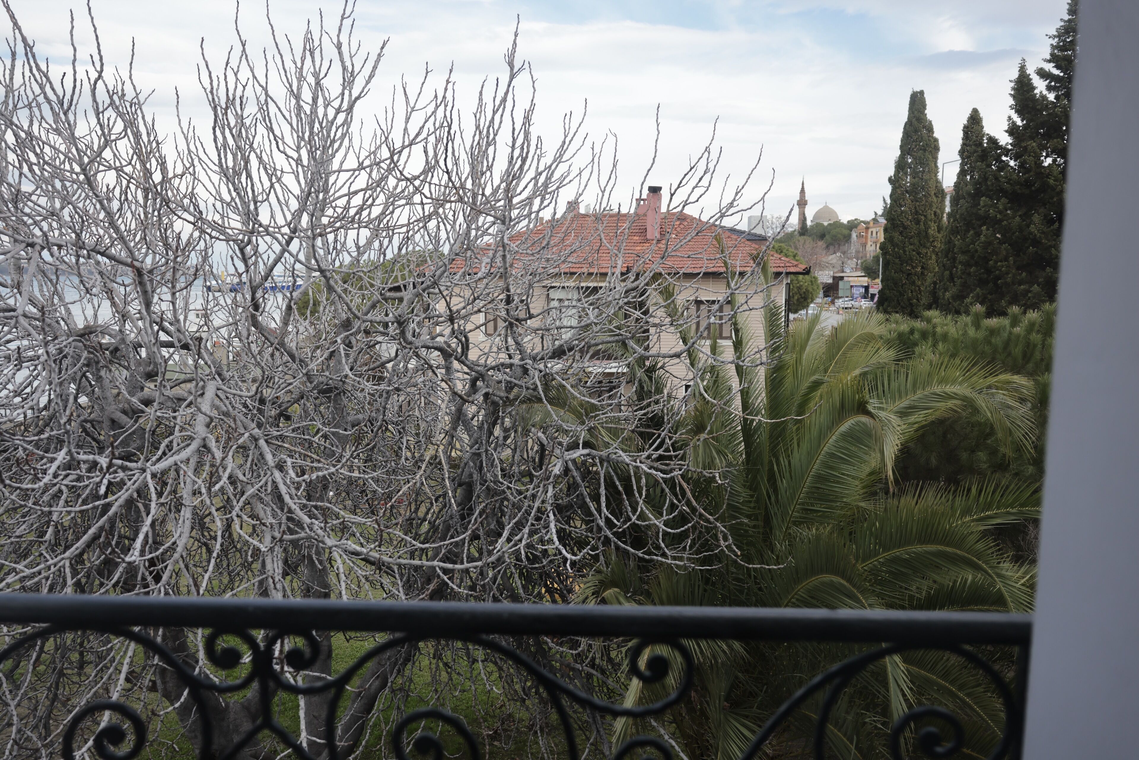 Un balcó amb vista a un edifici amb teulada vermella, envoltat d'arbres i vegetació.