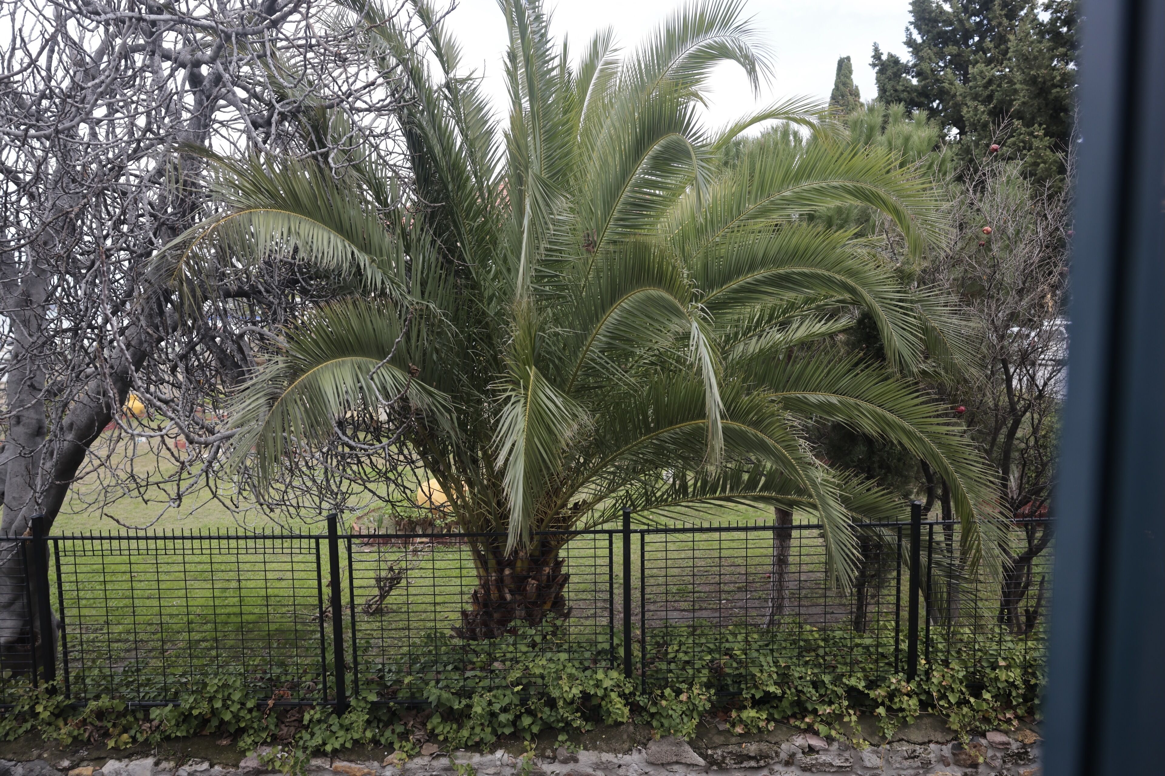 double room | in-room safe, desk, free wifi, bed sheets