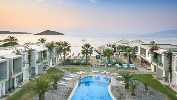 A resort with a swimming pool, palm trees, and a view of the sea.