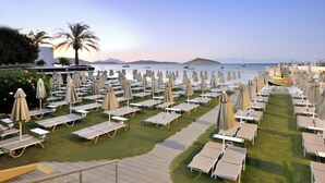 A beachside resort with rows of sun loungers and umbrellas, a palm tree, and boats in the background.