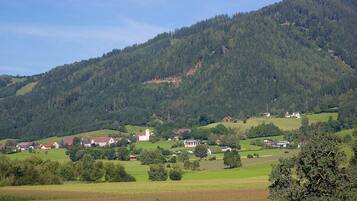 A rural village with houses on rolling hills, surrounded by dense forests.