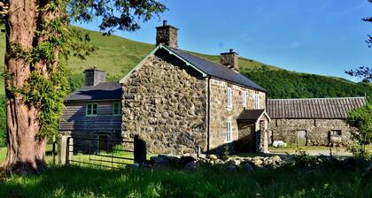 The Firecat Country House B&B