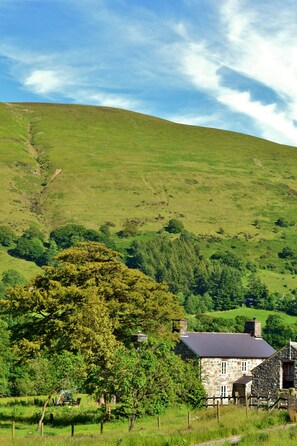Exterior - The Firecat Country House B&B (Machynlleth)